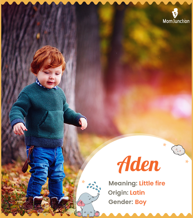 Aden, a fiery little
