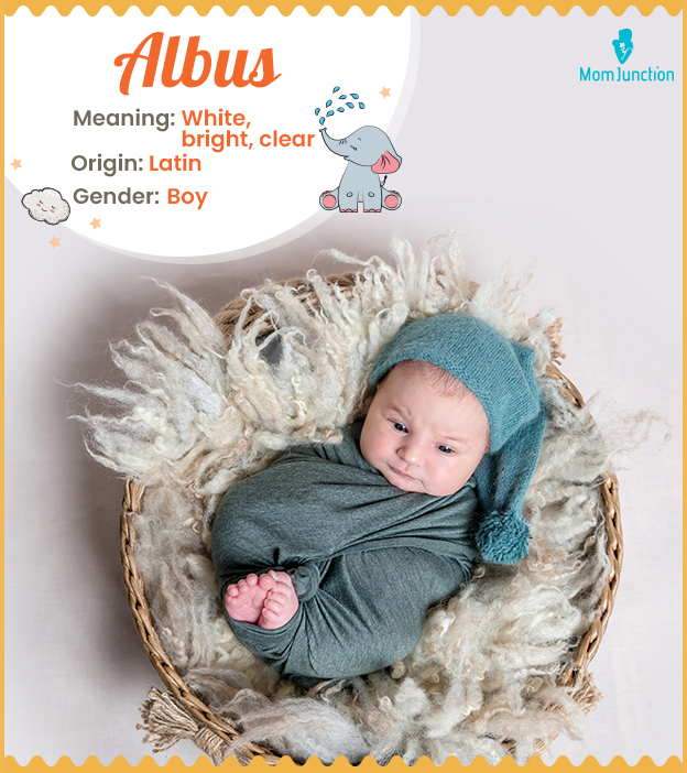 Albus, a name that e