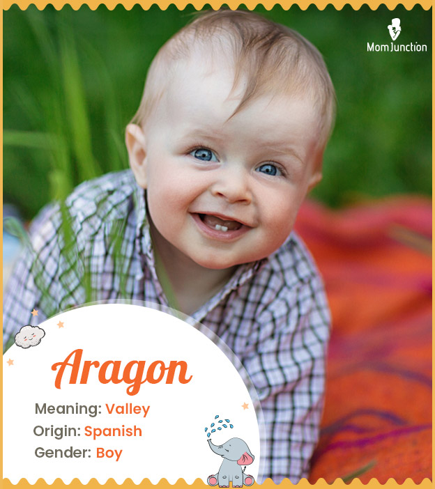 Aragon, meaning vall