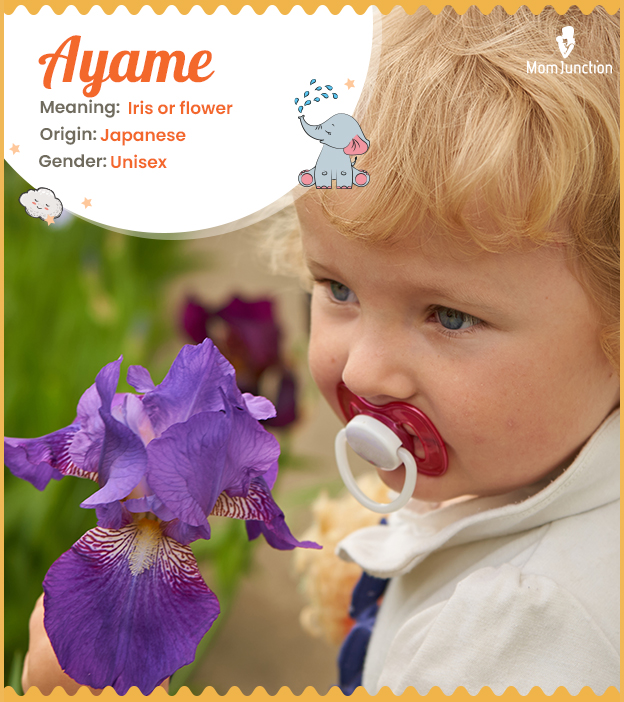 Ayame, means iris fl