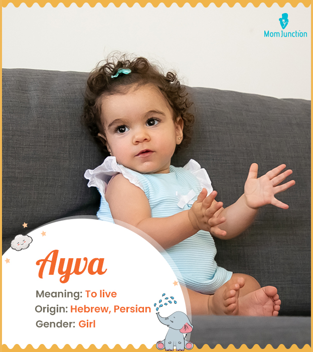 Ayva means to live, 