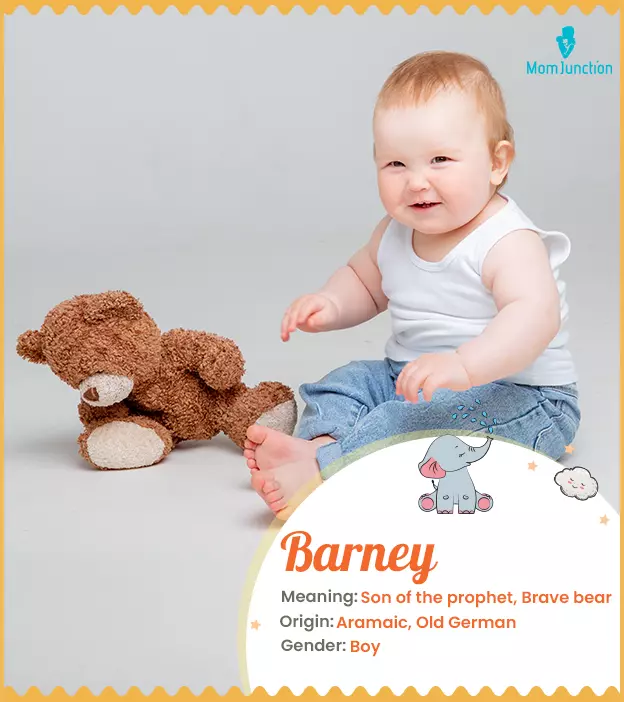 Origin, Meaning & Other Facts About Baby Name Barney