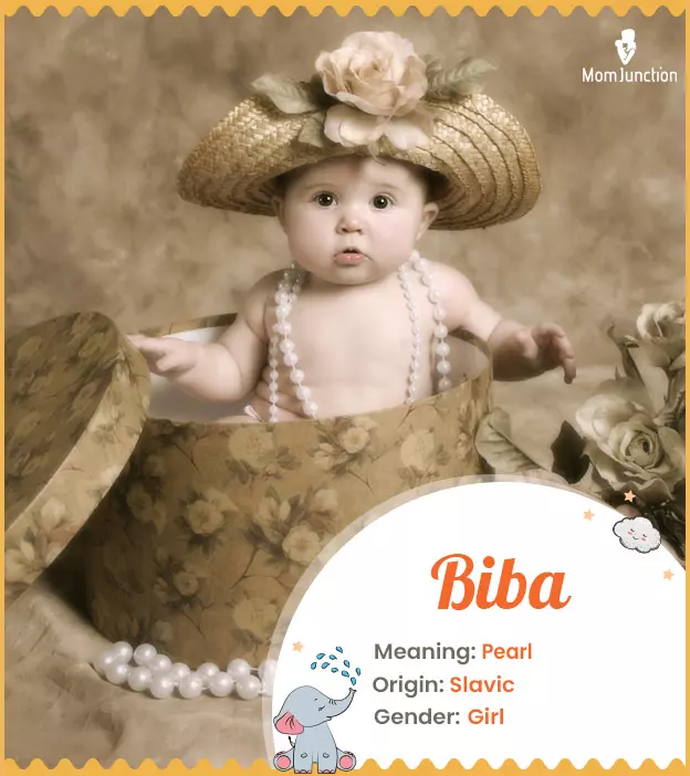 Origin, Meaning &amp; Other Facts About Baby Name Biba