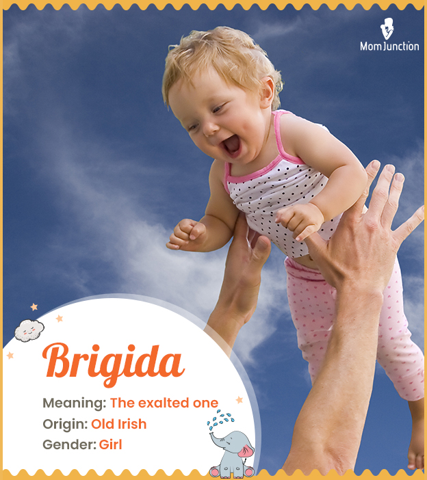 Brigida means the ex