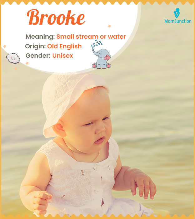 Brooke Name Meaning, Origin, History, And Popularity