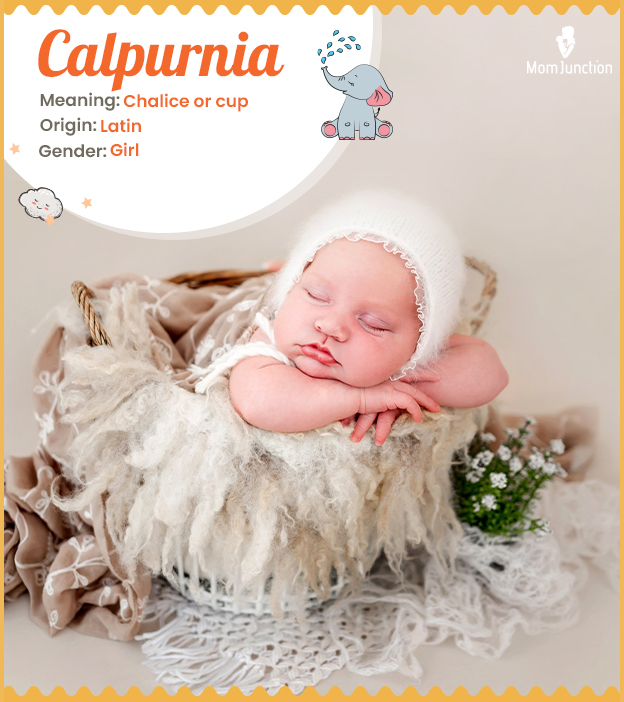 Calpurnia, meaning a
