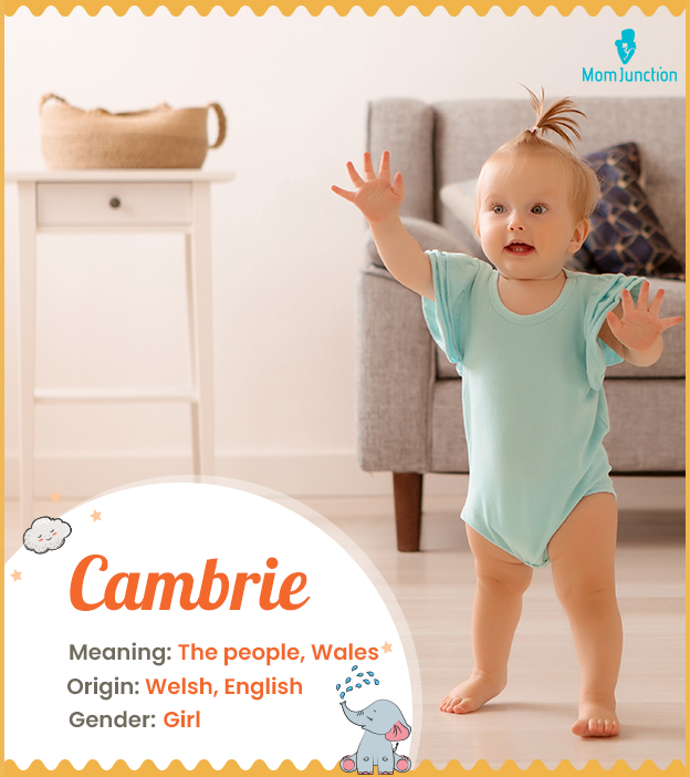 Cambrie, meaning the