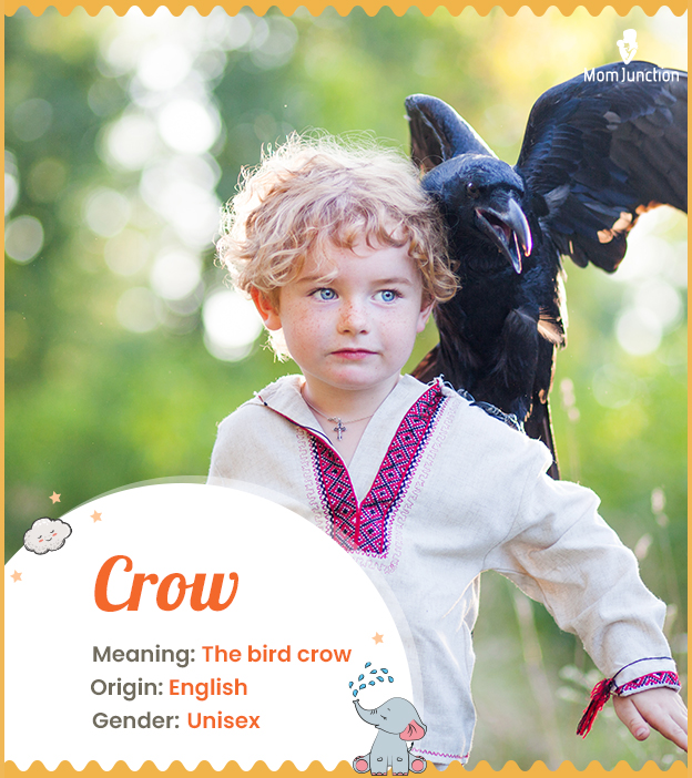 Crow refers to the b