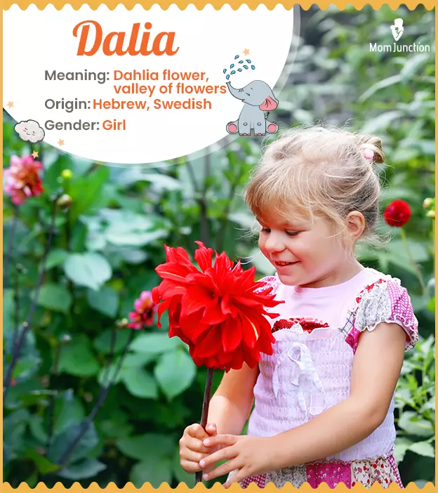 daila meaning