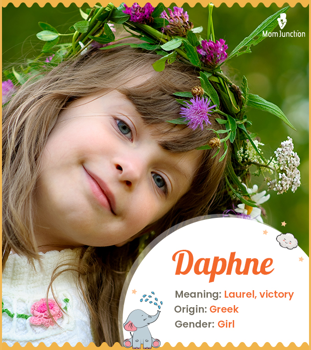 Daphne symbolises vi