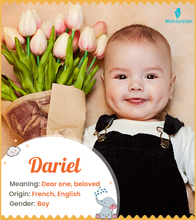 Dariel meaning dear 