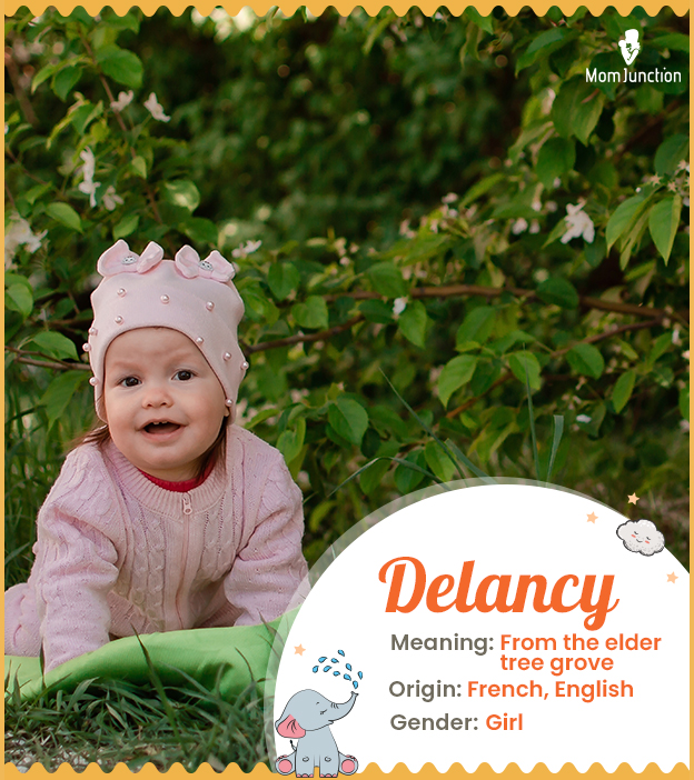 Delancy is a French 