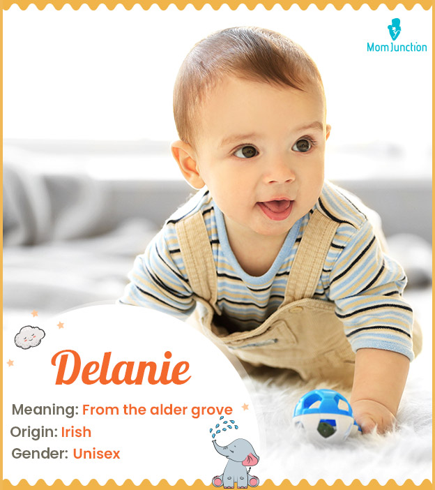 Delanie means descen
