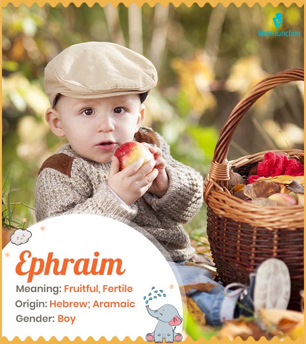Ephraim meaning frui