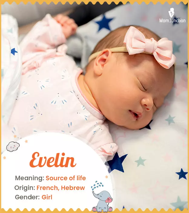 Evelin Name Meaning, Origin, History, And Popularity