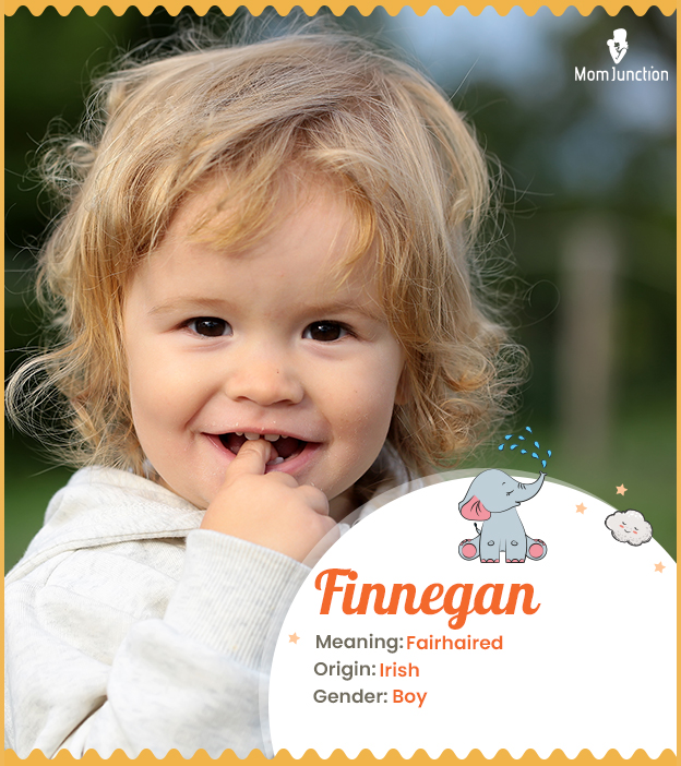 Finnegan, a name mea