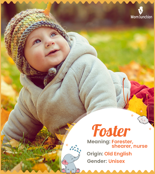 Foster, meaning fore