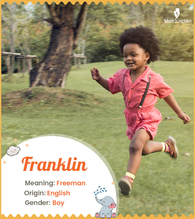 Franklin means freem