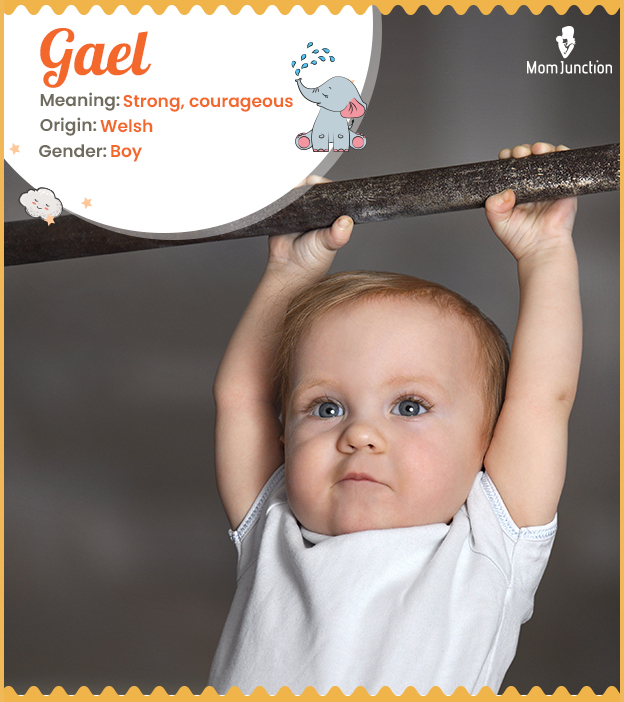Gael, meaning Gaelic