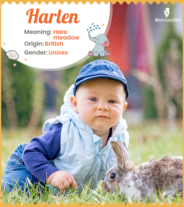 Harlen, meaning hare