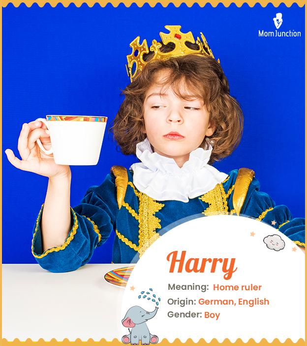 Harry Name Meaning Origin History And Popularity