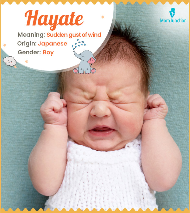 Hayate is a Japanese