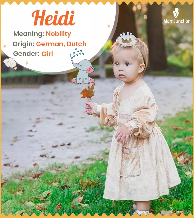 Heidi Name Meaning, Origin, History, And Popularity