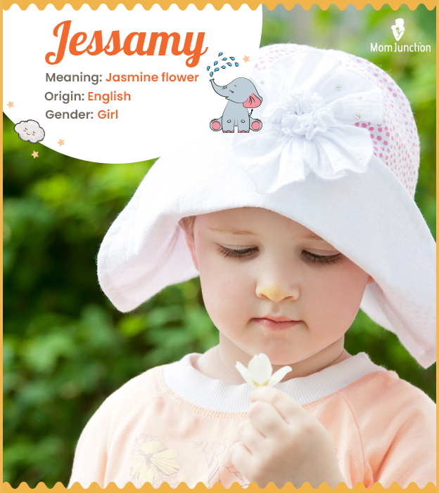 Jessamy, the jasmine