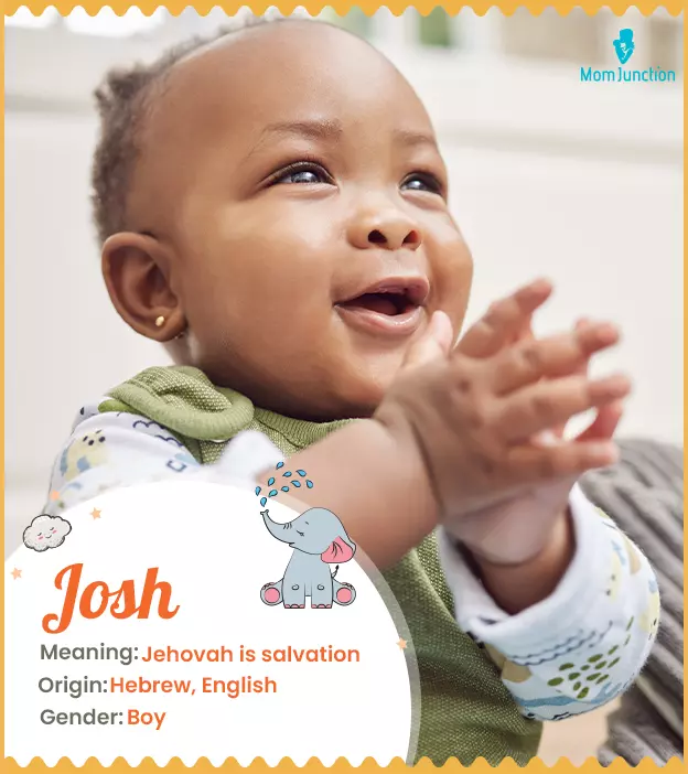 Josh Name Meaning, Origin, History, And Popularity