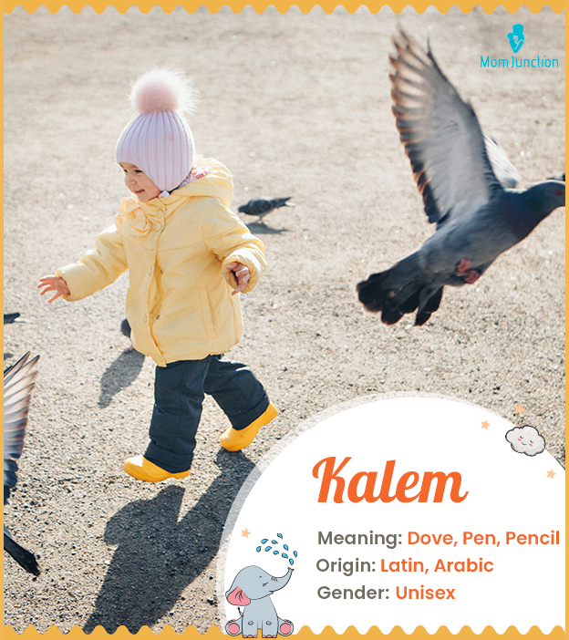 Kalem means dove or 