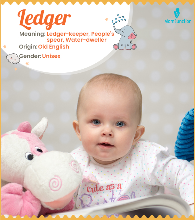 Ledger means ledger-