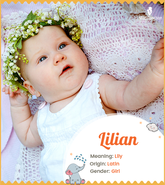 Lilian, the flower l