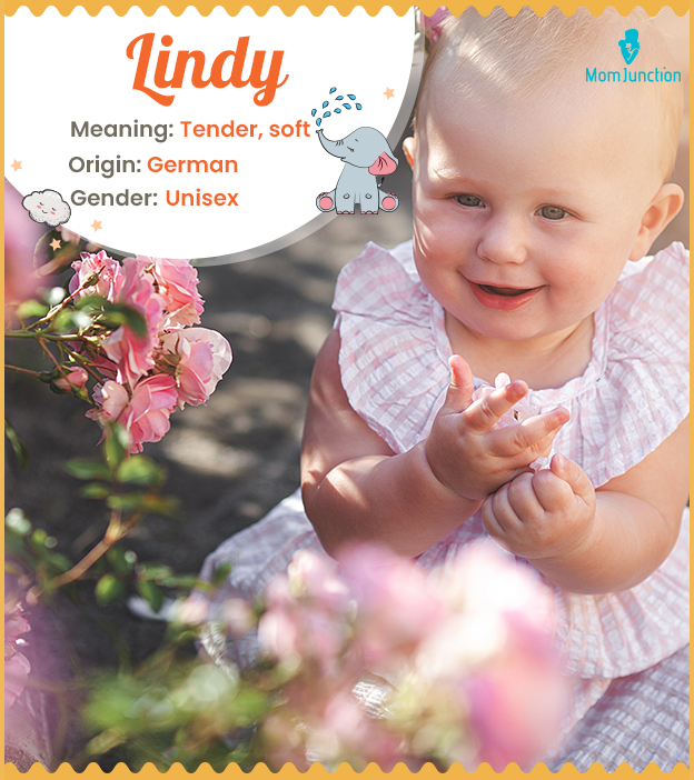 Lindy Name Meaning, Origin, History, And Popularity | MomJunction