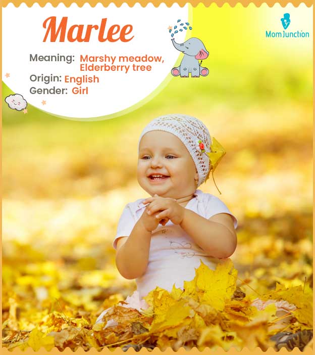 Marlee, means marshy