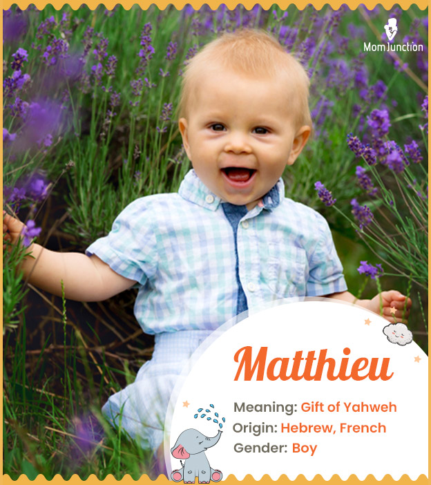 Matthieu means gift 