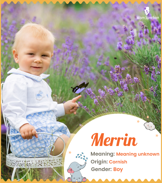 Merrin, meaning unkn