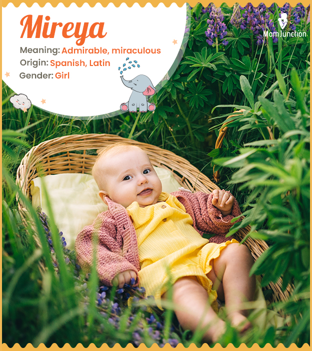 Mireya, the most ado