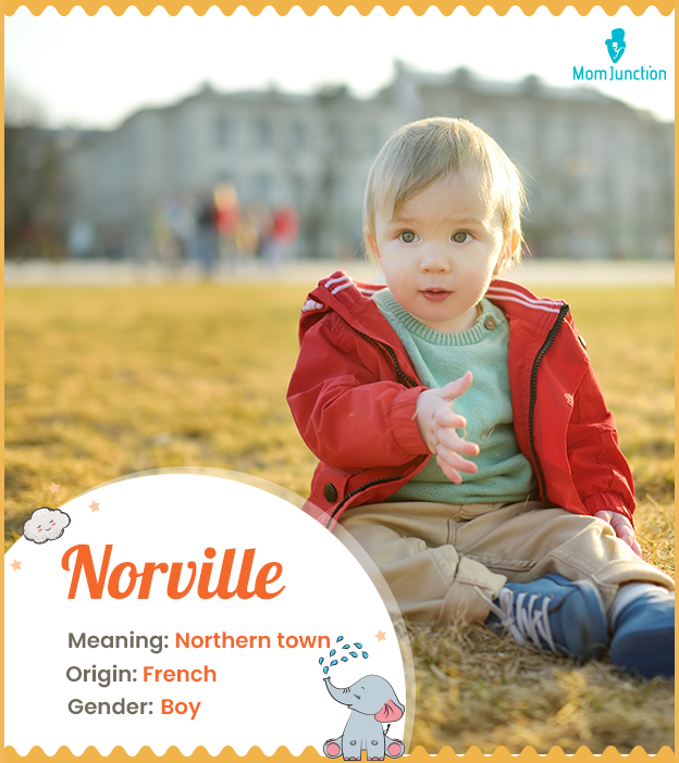 Norville, a habitati