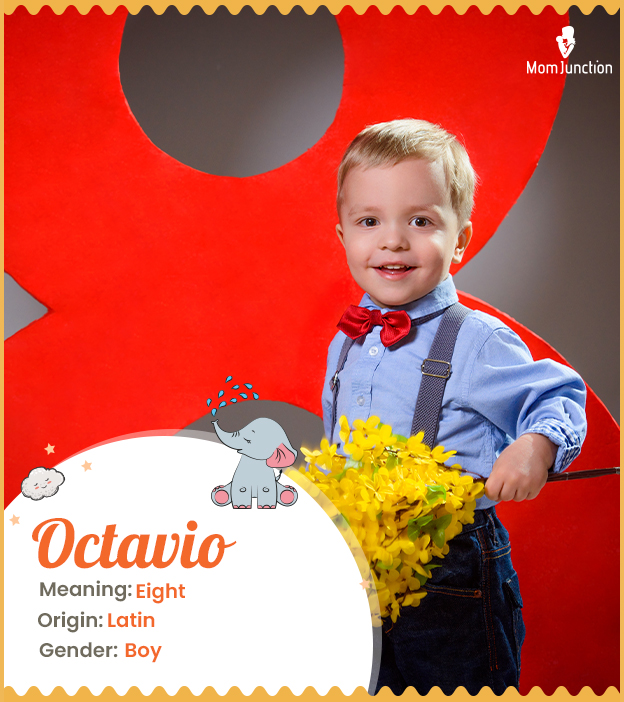 Octavio, meaning eig