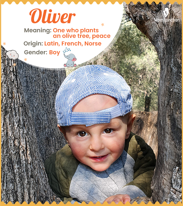 Oliver Name Meaning, Origin, History, And Popularity