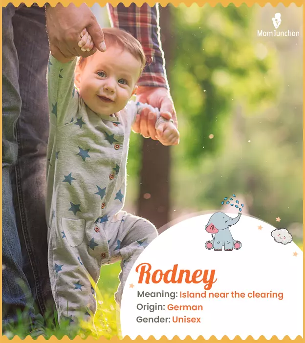 Rodney Name, Meaning, Origin, History And Popularity