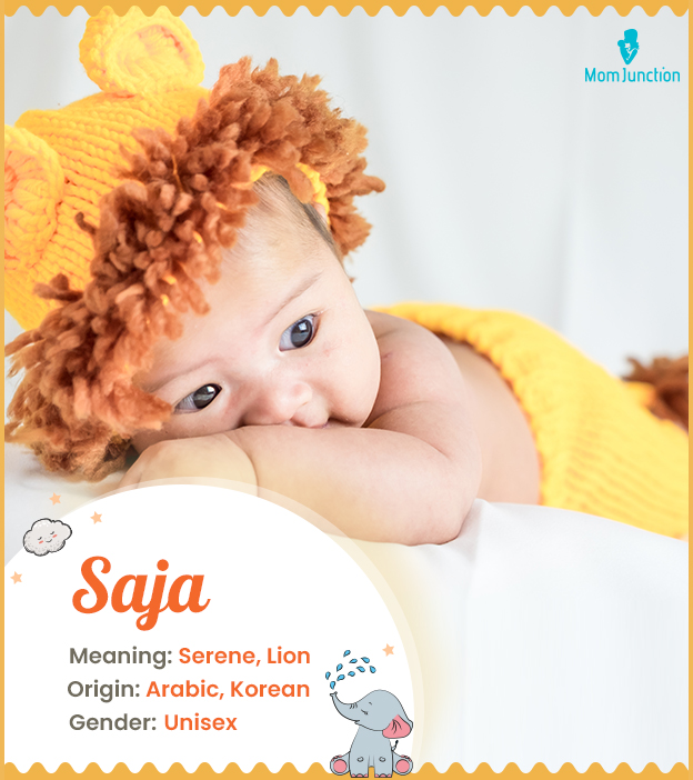 Saja, meaning lion o