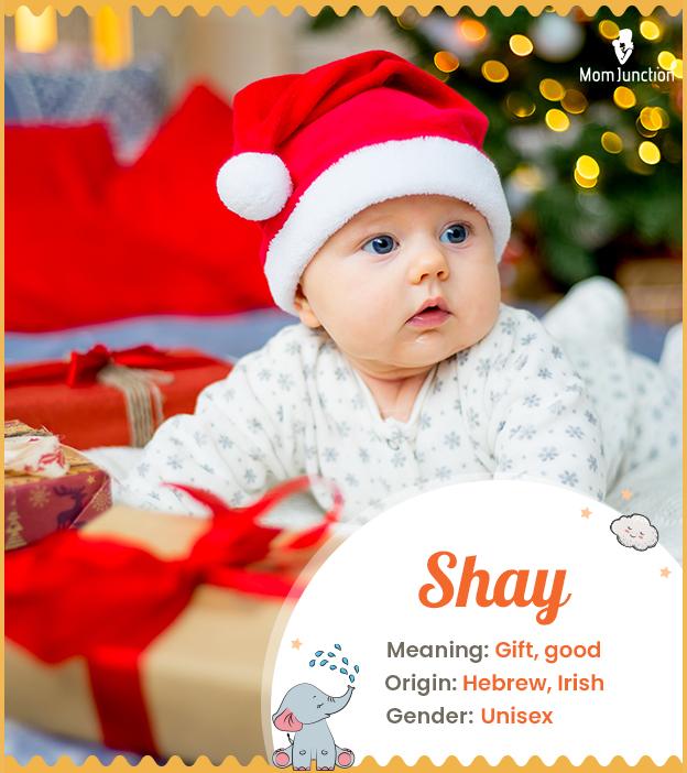 Shay Name Meaning Origin History And Popularity