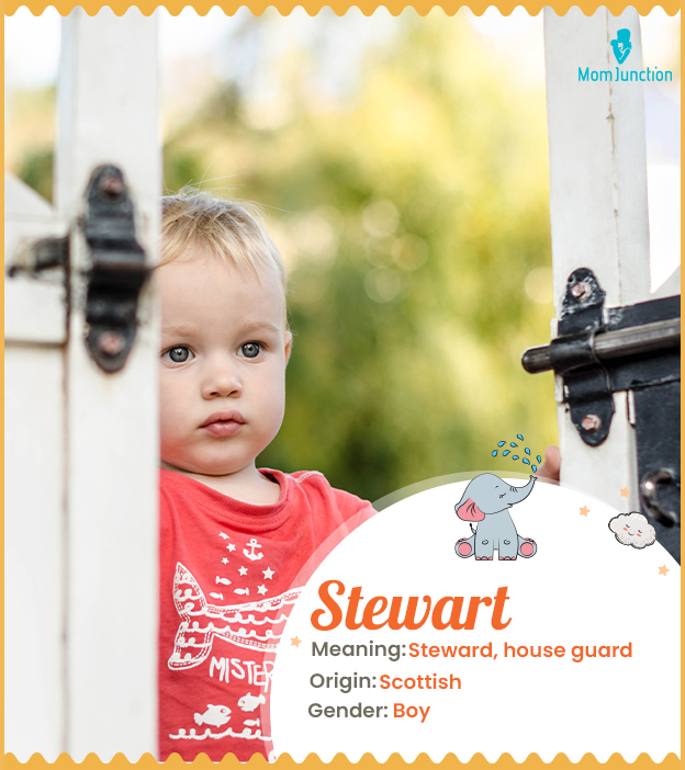 Stewart meaning Stew
