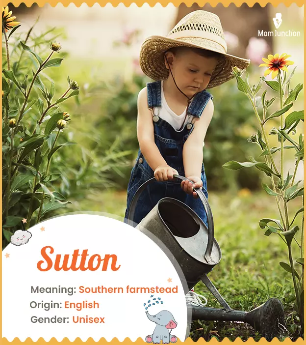 Sutton Name Meaning, Origin, History, And Popularity