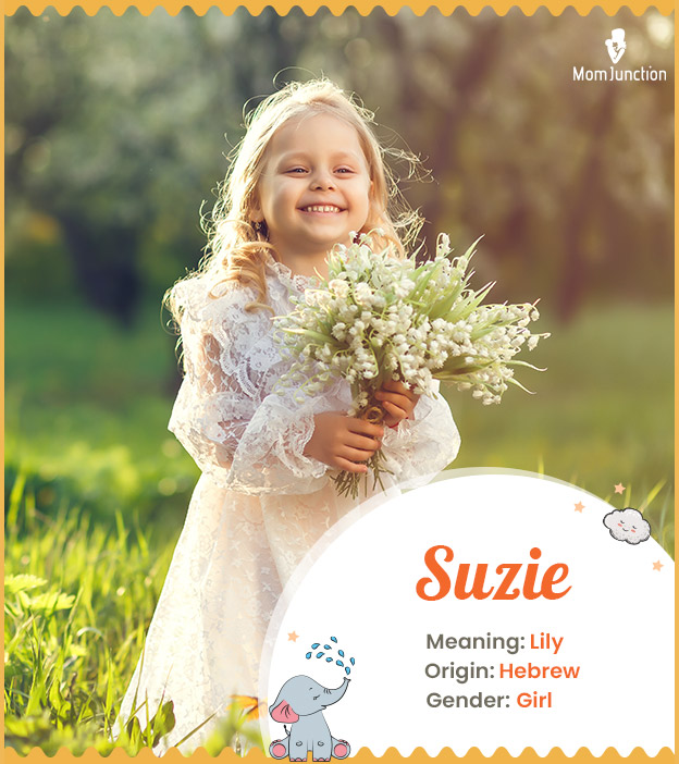 Suzie, Lily
