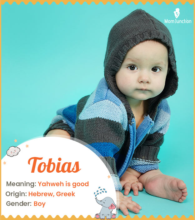 Toby Name Meaning, Origin, Popularity, Boy Names Like Toby - Mama