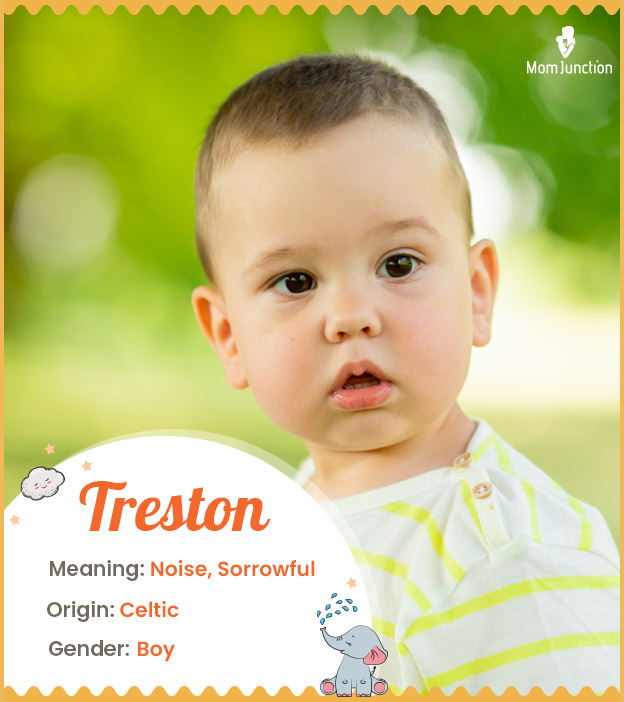 Treston, meaning noi