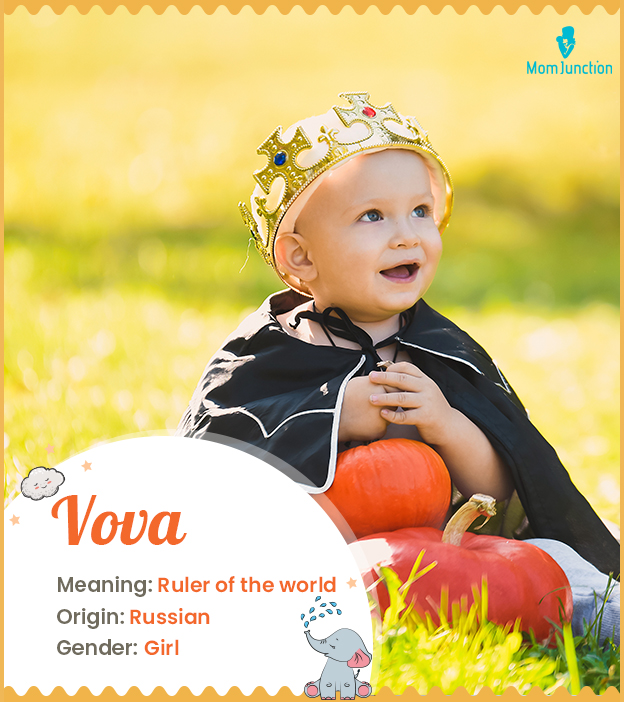Vova means the ruler