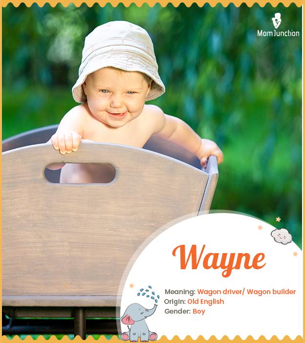 Wayne Name Meaning Origin History And Popularity